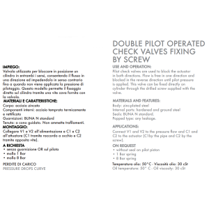 Podwójny zawór sterowany VBPDE FLV 1/4" BSPP, Rozmiar gwin