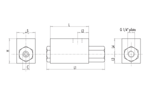 Pojedynczy zawór sterowany VBL/3 1/4" BSPP, Rozmiar gwintu: