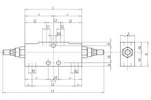 Zawór przeciążeniowo-blokujący VBCD 1/4" BSPP DE A, Rozm