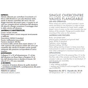 Zawór przeciążeniowo-blokujący VBCD 3/8" BSPP SE FL, Roz