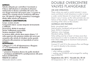 Zawór przeciążeniowo-blokujący VBCD 3/8" BSPP DE FL, Roz