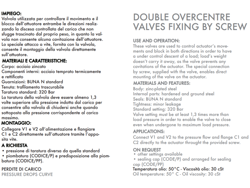 Zawór przeciążeniowo-blokujący VBCD 3/8" BSPP DE FLV, Ro