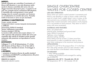 Zawór przeciążeniowo-blokujący VBCD 3/8" BSPP SE CC, Roz