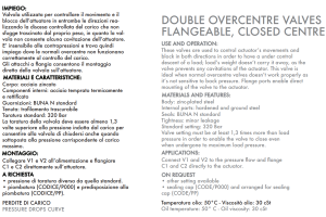 Zawór przeciążeniowo-blokujący VBCD 3/8" BSPP DE FL CC, 