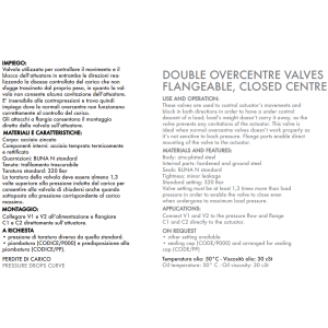 Zawór przeciążeniowo-blokujący VBCD 3/8" BSPP DE FL CC, 