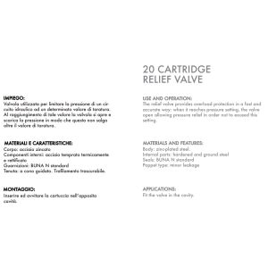 Zawór przelewowy nabojowy 20