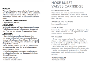Zawór zabezpieczający nabojowy VUBA 1/4" BSPP, Rozmiar gwi