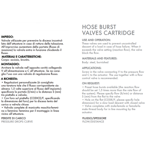 Zawór zabezpieczający nabojowy VUBA 1/4" BSPP, Rozmiar gwi