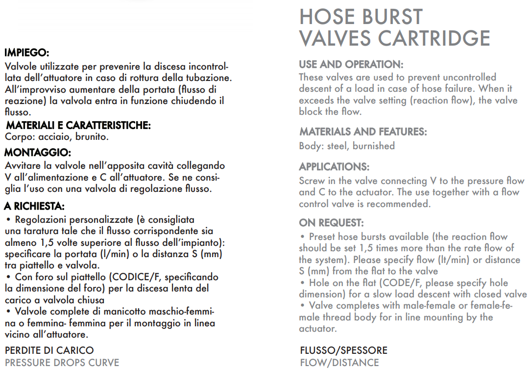 Zawór zabezpieczający nabojowy VUBA 1/4" BSPP, Rozmiar gwi