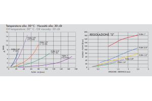 Zawór zabezpieczający nabojowy VUBA 1/4" BSPP, Rozmiar gwi