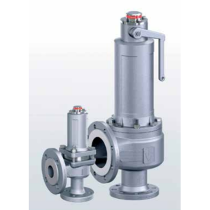 Zawór bezpieczeństwa Seria 455, Średnica nominalna DN: DN