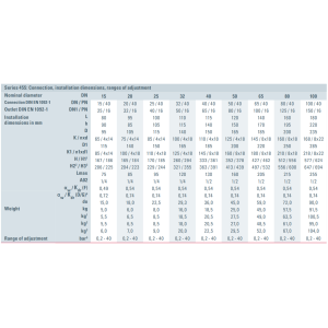 Zawór bezpieczeństwa Seria 455, Średnica nominalna DN: DN