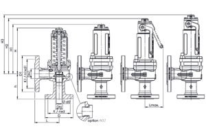 Zawór bezpieczeństwa Seria 455, Średnica nominalna DN: DN