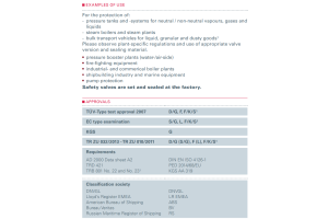 Zawór bezpieczeństwa Seria 852, Średnica nominalna DN: DN