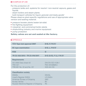 Zawór bezpieczeństwa Seria 852, Średnica nominalna DN: DN