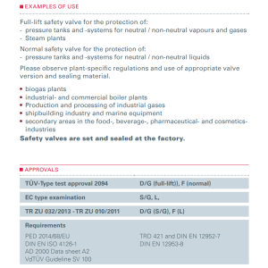 Zawór bezpieczeństwa Seria 355, Średnica nominalna DN: DN