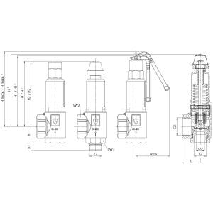 Zawór bezpieczeństwa Seria 451, Rozmiar gwintu (2): 1.1/2'
