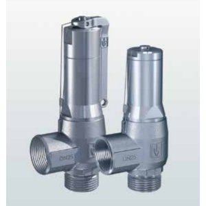 Zawór bezpieczeństwa Seria 460, Rozmiar gwintu (2): 1/2" B