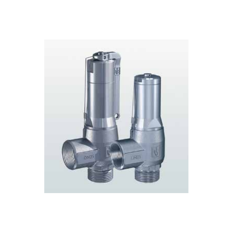 Zawór bezpieczeństwa Seria 460, Rozmiar gwintu (2): 1/2" B