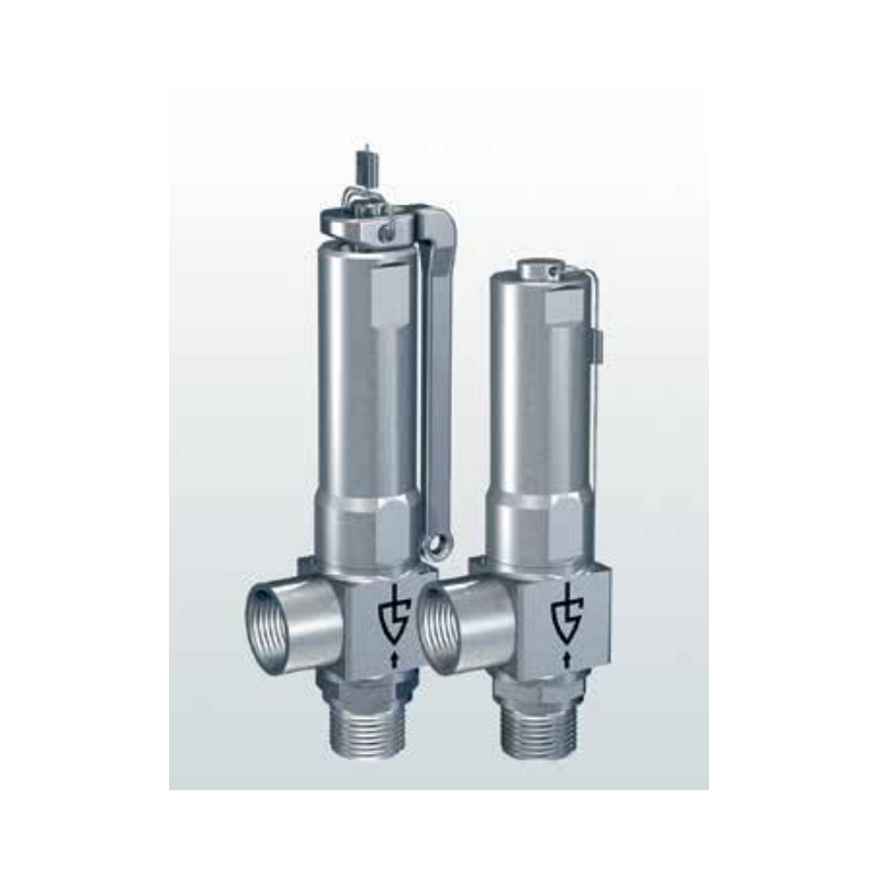 Zawór bezpieczeństwa Seria 420, Rozmiar gwintu (2): 1/4" B