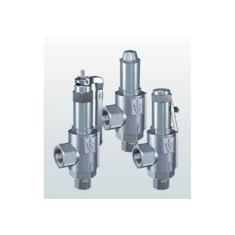 Zawór bezpieczeństwa Seria 461, Rozmiar gwintu (2): 3/8" B