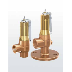 Zawór bezpieczeństwa Seria 642, Rozmiar gwintu (2): 2.1/2"