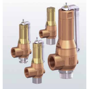 Zawór bezpieczeństwa Seria 6420, Rozmiar gwintu (2): 2.1/2