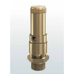 Zawór bezpieczeństwa Seria 810, Rozmiar gwintu (2): 1.1/2"