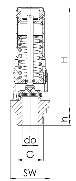 Zawór bezpieczeństwa Seria 810, Rozmiar gwintu (2): 1.1/2"