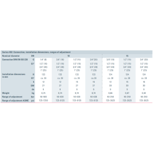Zawór bezpieczeństwa Seria 492, Rozmiar gwintu (2): 1/2" B
