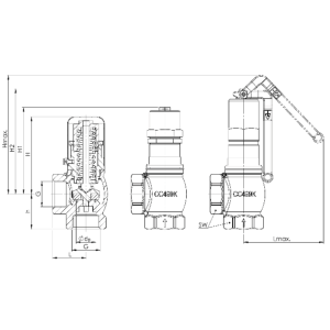 Zawór bezpieczeństwa Seria 628, Rozmiar gwintu (2): 2" BSP