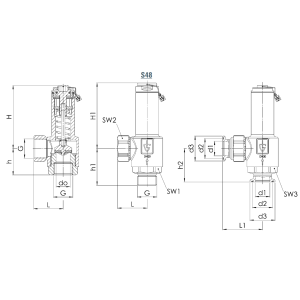Zawór bezpieczeństwa Seria 417, Rozmiar gwintu (2): 2" BSP