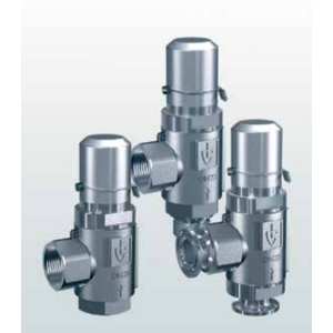 Zawór bezpieczeństwa Seria 418, Rozmiar gwintu (2): 1/2" B