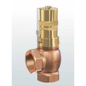 Zawór bezpieczeństwa Seria 618, Rozmiar gwintu (2): 2" BSP