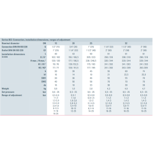 Zawór bezpieczeństwa Seria 853, Rozmiar gwintu (2): 1/2" B
