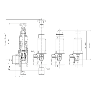 Zawór bezpieczeństwa Seria 853, Rozmiar gwintu (2): 1/2" B