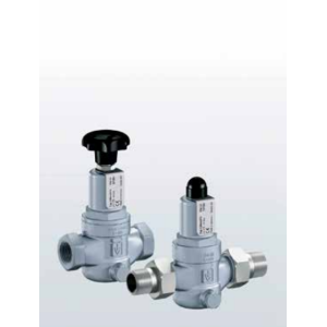 Zawór bezpieczeństwa Seria 430, Rozmiar gwintu (2): 1/2" B