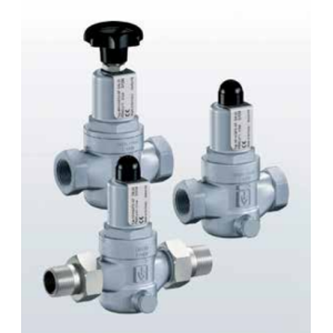 Zawór redukujący ciśnienie Seria 481, Rozmiar gwintu (2):