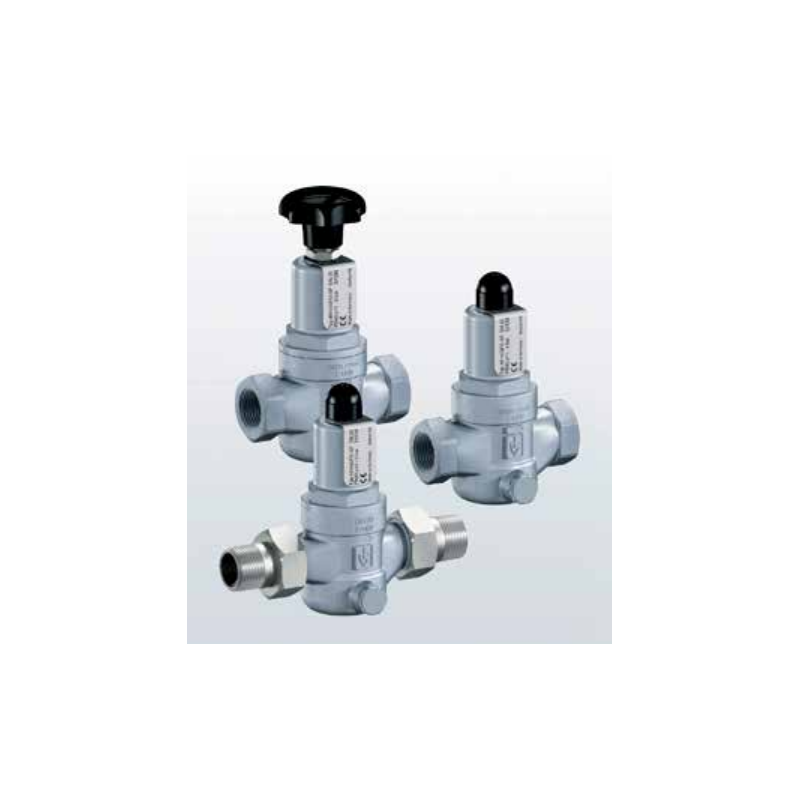 Zawór redukujący ciśnienie Seria 481, Rozmiar gwintu (2):