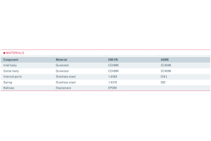Zawór bezpieczeństwa Seria 852bHL, Średnica nominalna DN: