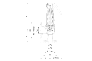 Zawór bezpieczeństwa Seria 852bHL, Średnica nominalna DN: