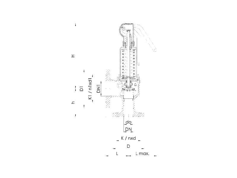 Zawór bezpieczeństwa Seria 852bHL, Średnica nominalna DN: