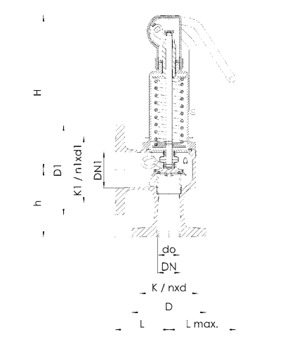 Zawór bezpieczeństwa Seria 852bHL, Średnica nominalna DN:
