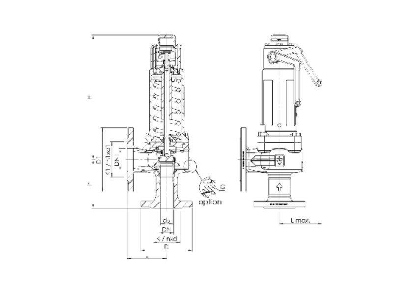 Zawór bezpieczeństwa Seria 455bHL, Średnica nominalna DN: