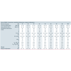 Zawór bezpieczeństwa Seria 355bHL, Średnica nominalna DN: