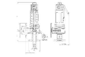 Zawór bezpieczeństwa Seria 355bHL, Średnica nominalna DN: