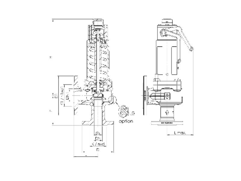 Zawór bezpieczeństwa Seria 355bHL, Średnica nominalna DN: