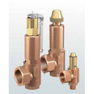 Zawór bezpieczeństwa Seria 851bG, Rozmiar gwintu (2): 1/2"