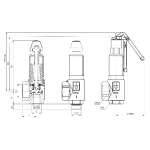 Zawór bezpieczeństwa Seria 851bG, Rozmiar gwintu (2): 1/2"