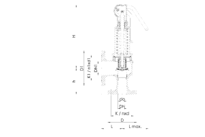 Zawór bezpieczeństwa Seria 452bGL, Średnica nominalna DN: